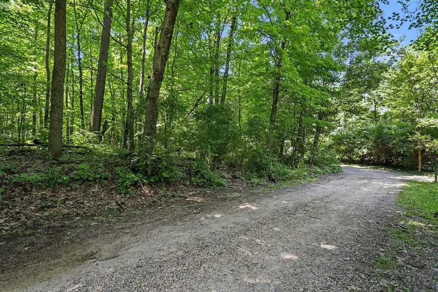 V/L Middle, Three Rivers, MI 49093 - #2
