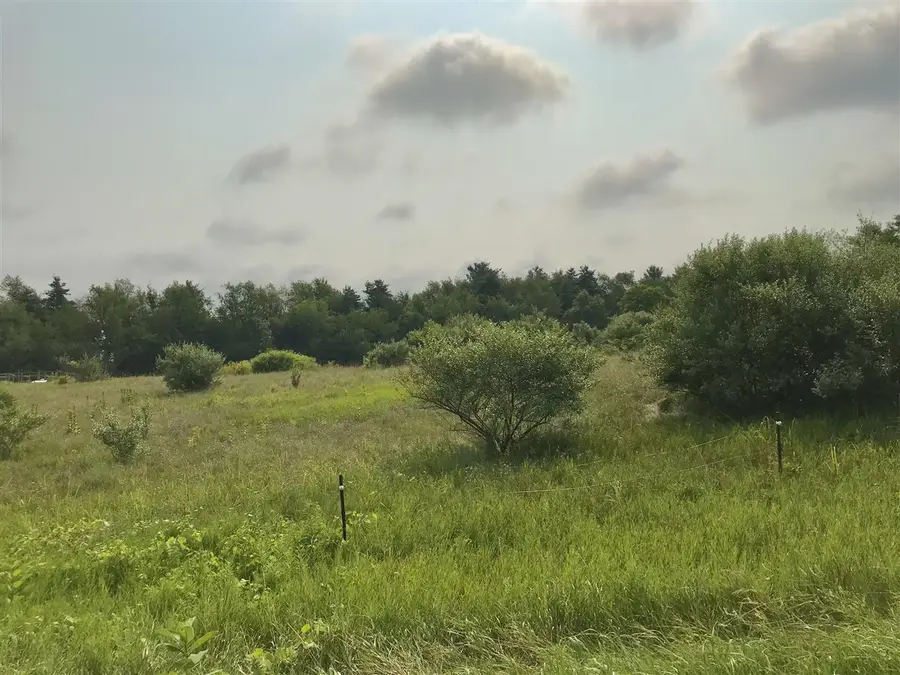 Buckhorn, Three Rivers, MI 49093 - #2