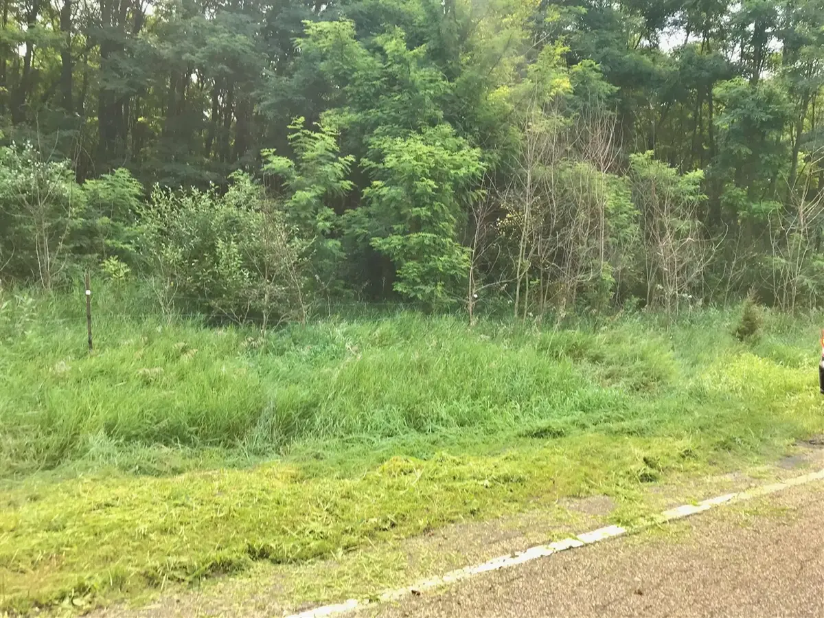 Buckhorn, Three Rivers, MI 49093 - #1