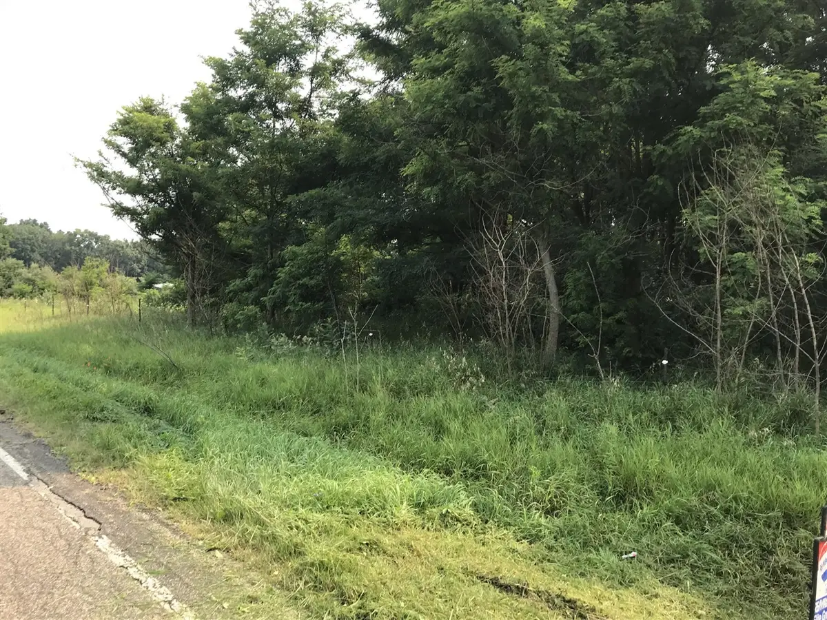 Lot H Buckhorn, Three Rivers, MI 49093 - #1