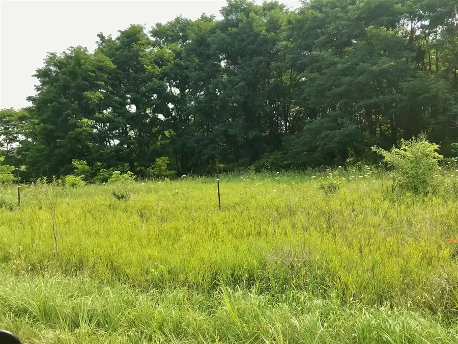 Lot H Buckhorn, Three Rivers, MI 49093 - #3