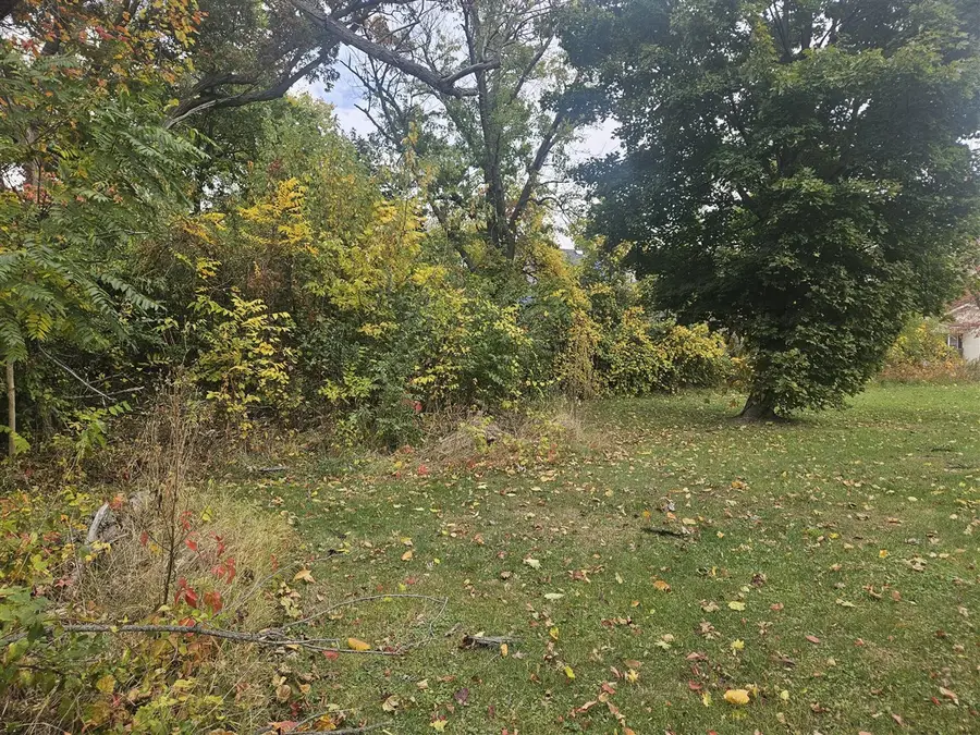 238 Pine, Benton Harbor, MI 49022 - #3