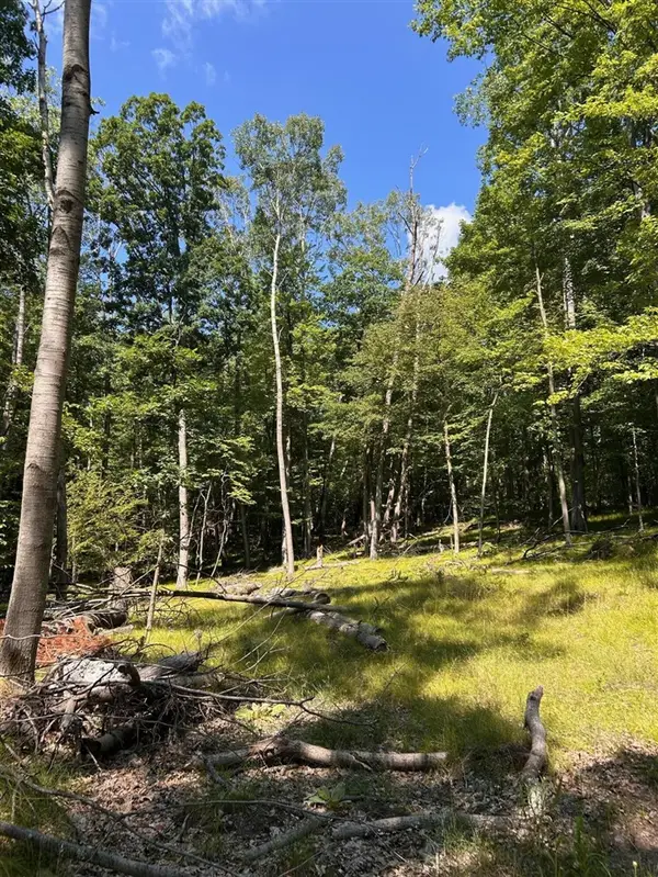 11992 Cheyenne Wells, Canadian Lakes, MI 49346