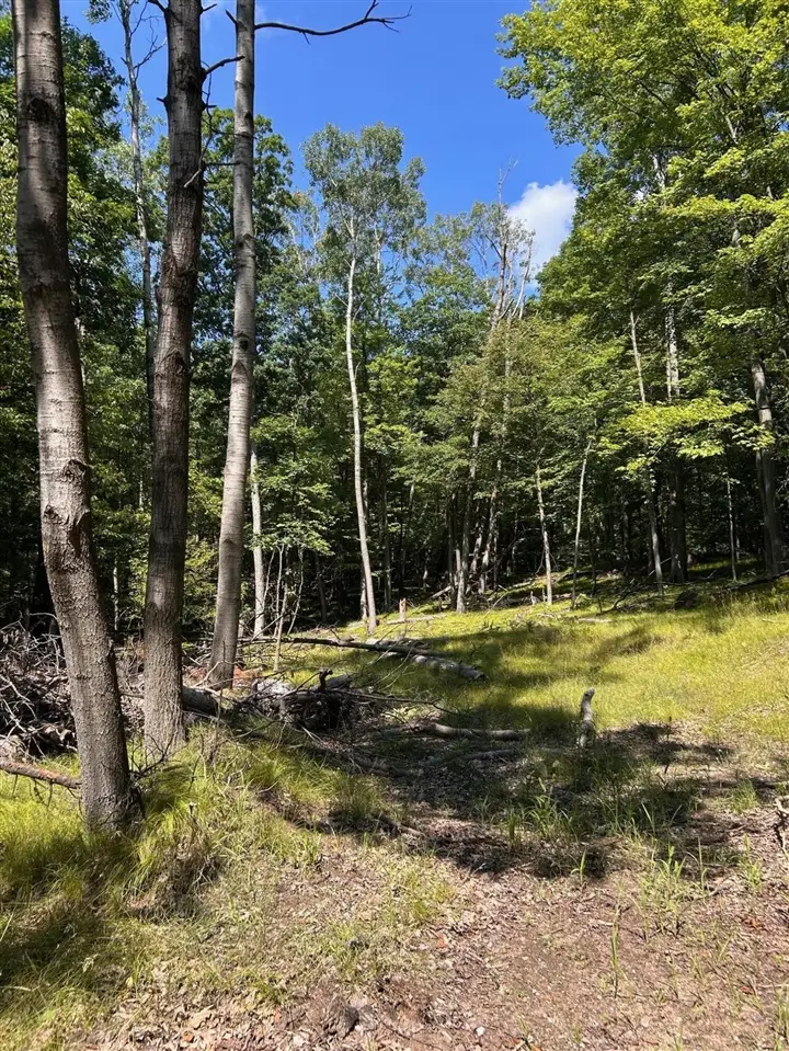 11992 Cheyenne Wells, Canadian Lakes, MI 49346 - #2