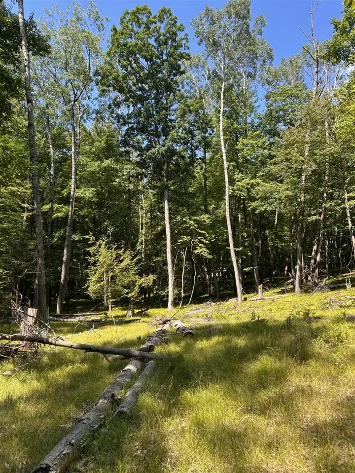 11992 Cheyenne Wells, Canadian Lakes, MI 49346 - #3