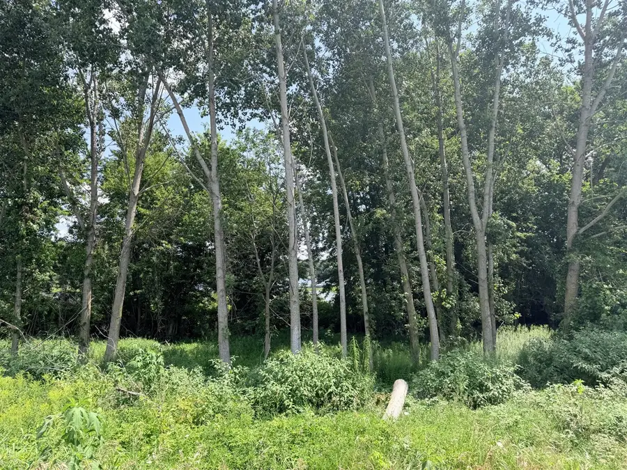 375 Post Way, Allegan, MI 49010 - #3
