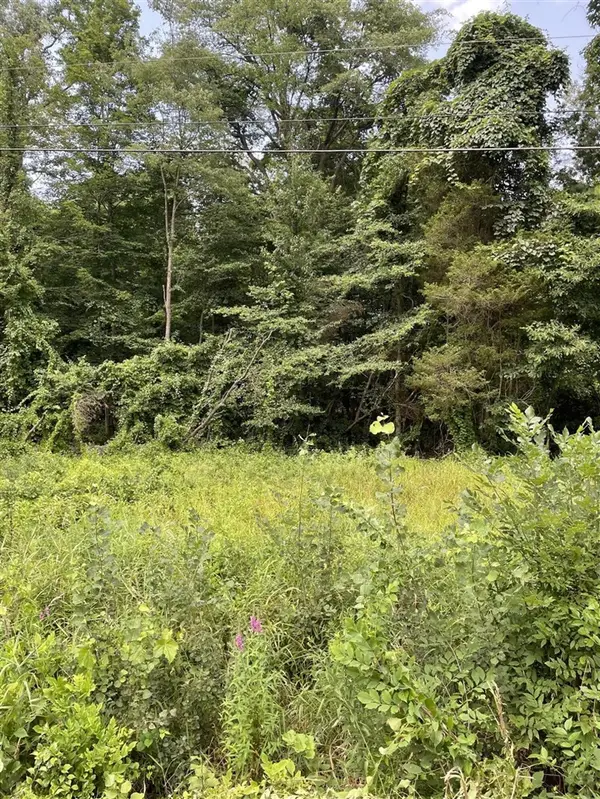 146th, Holland, MI 49423