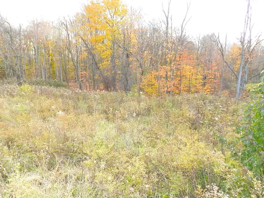 3991 Deja, Saint Joseph, MI 49085 - #2