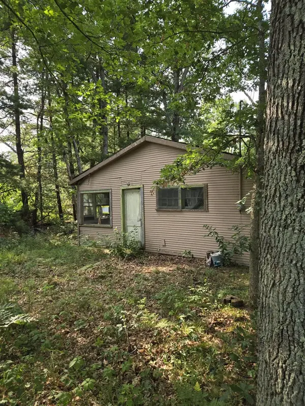 290 E Decatur, Idlewild, MI 49642