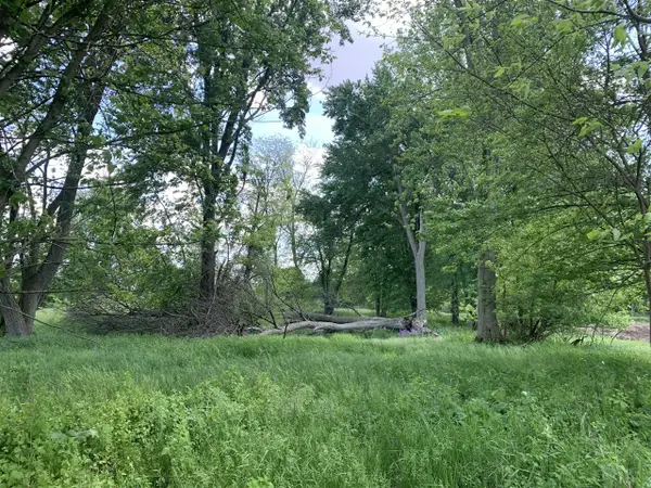 Brink, Bronson, MI 49028