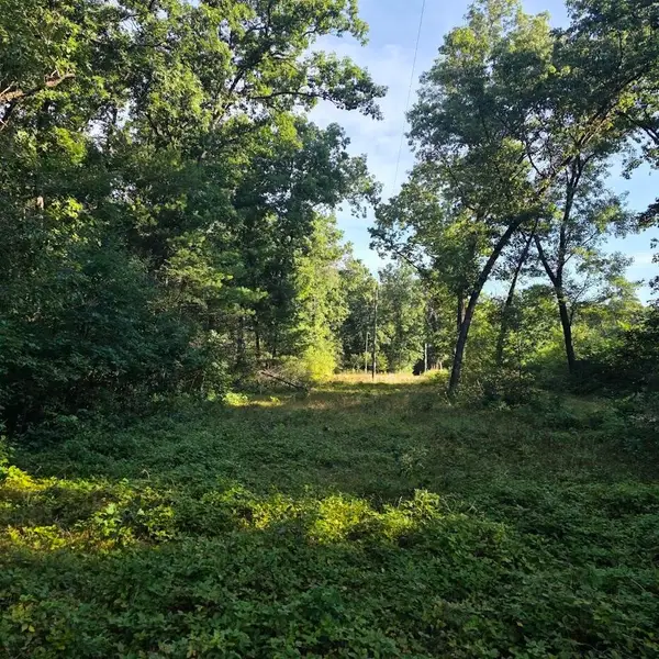 S Outaway, Newaygo, MI 49337