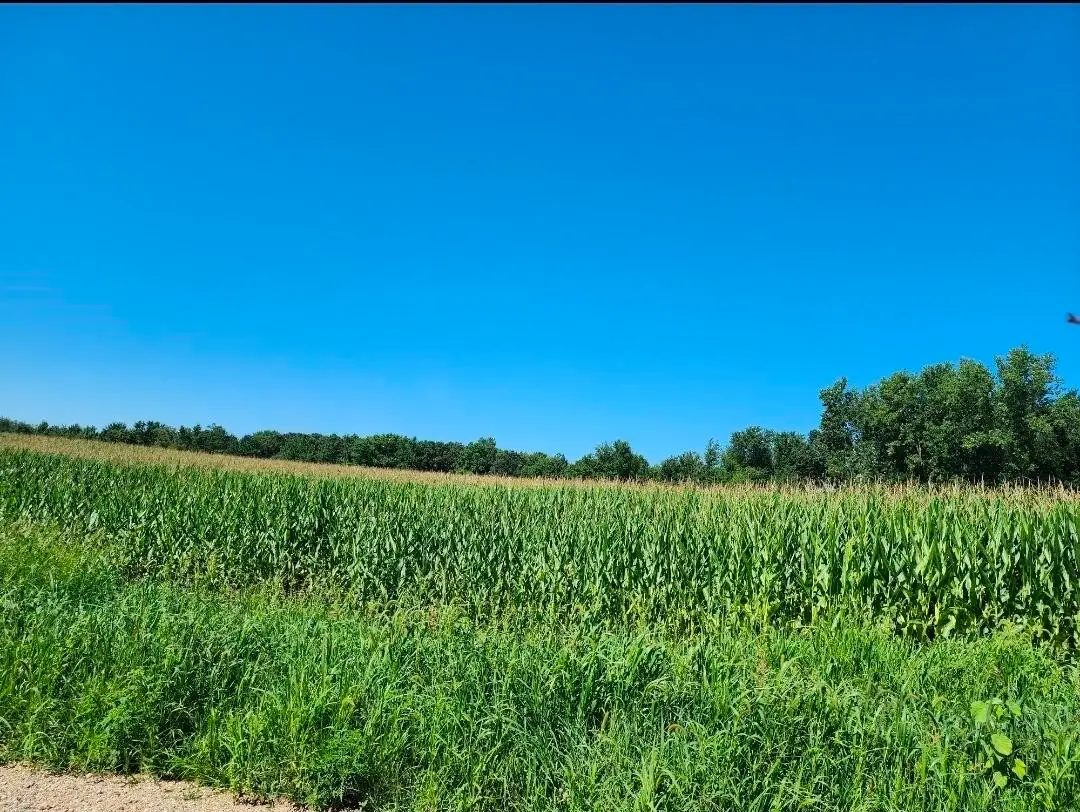 Root V/l, Constantine, MI 49042 - #1