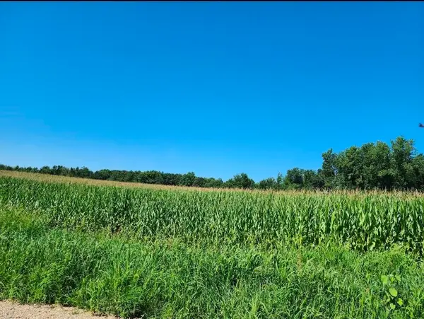Root V/l, Constantine, MI 49042