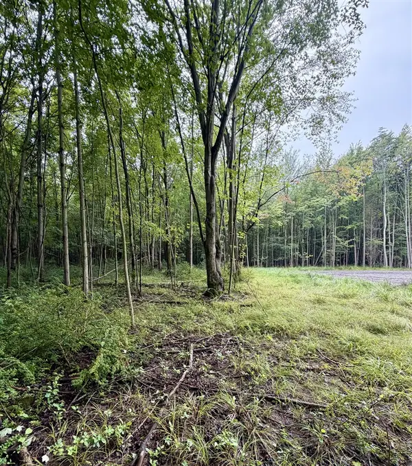 Lot 6 Christopher Lane, South Haven, MI 49090