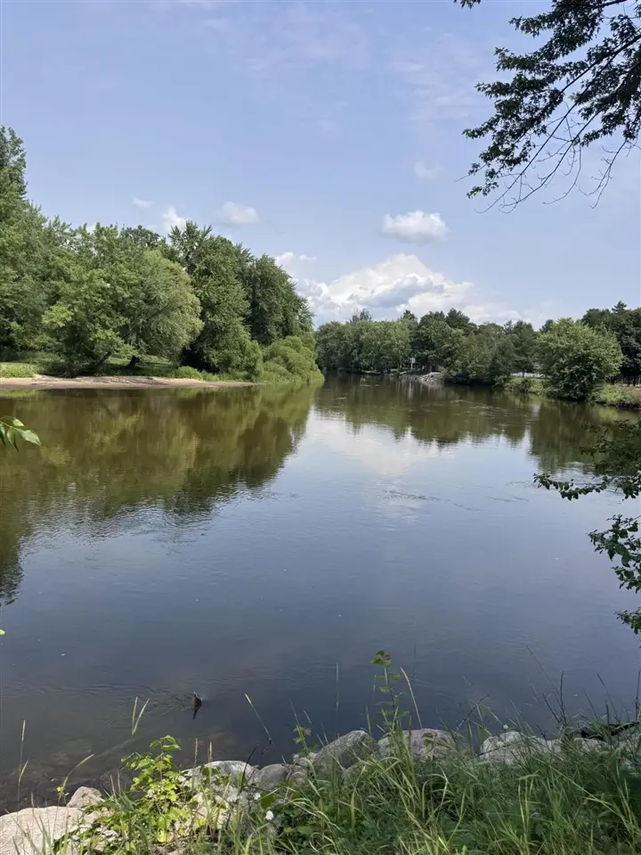 7998 Trout Haven, Evart, MI 49631 - #3