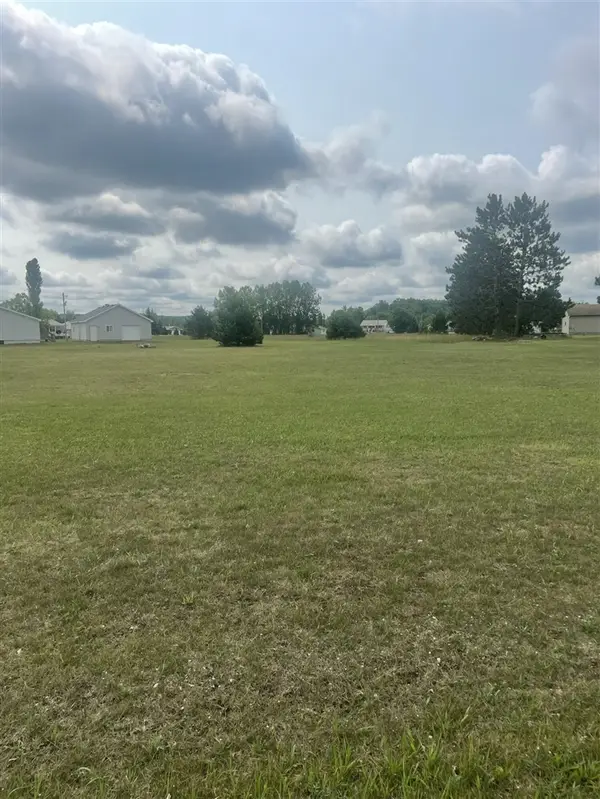 Lot #85 W Rimkus Drive, Irons, MI 49644