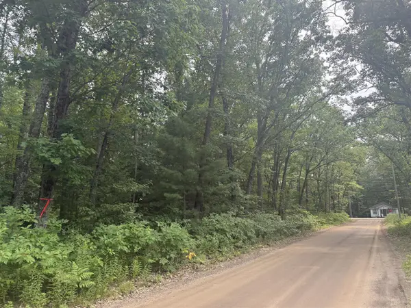 12th, Bitely, MI 49309