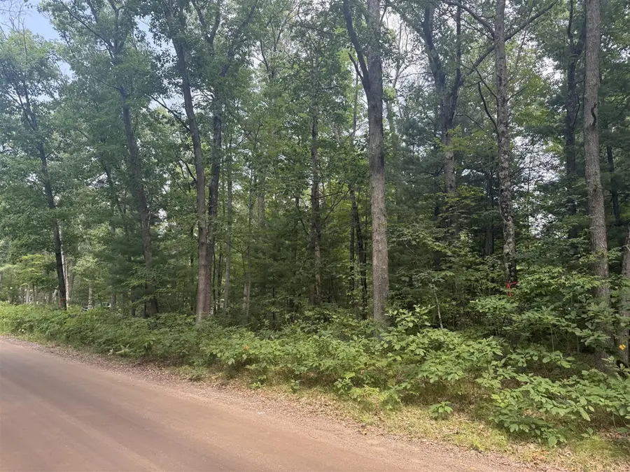 12th, Bitely, MI 49309 - #2