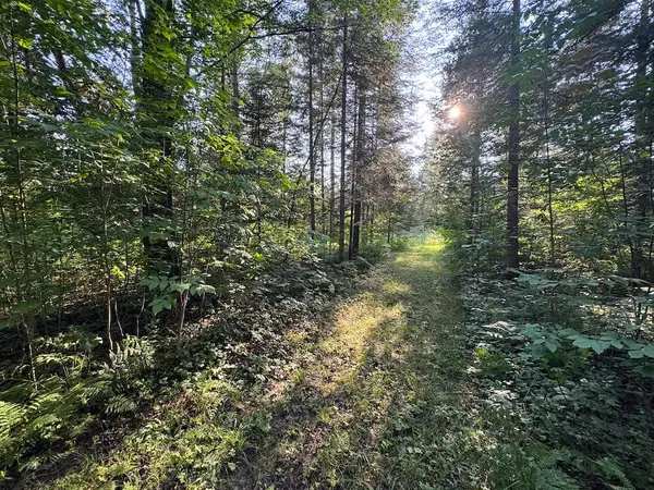 Channel Lake, West Branch, MI 48661