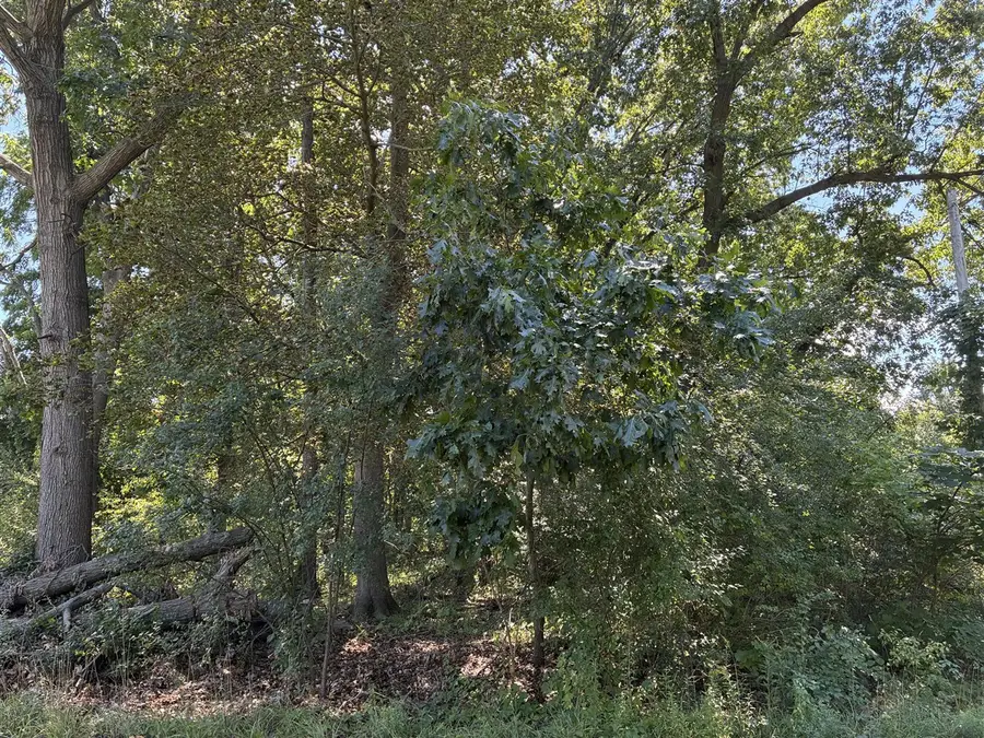Francis, Kalamazoo, MI 49048 - #2