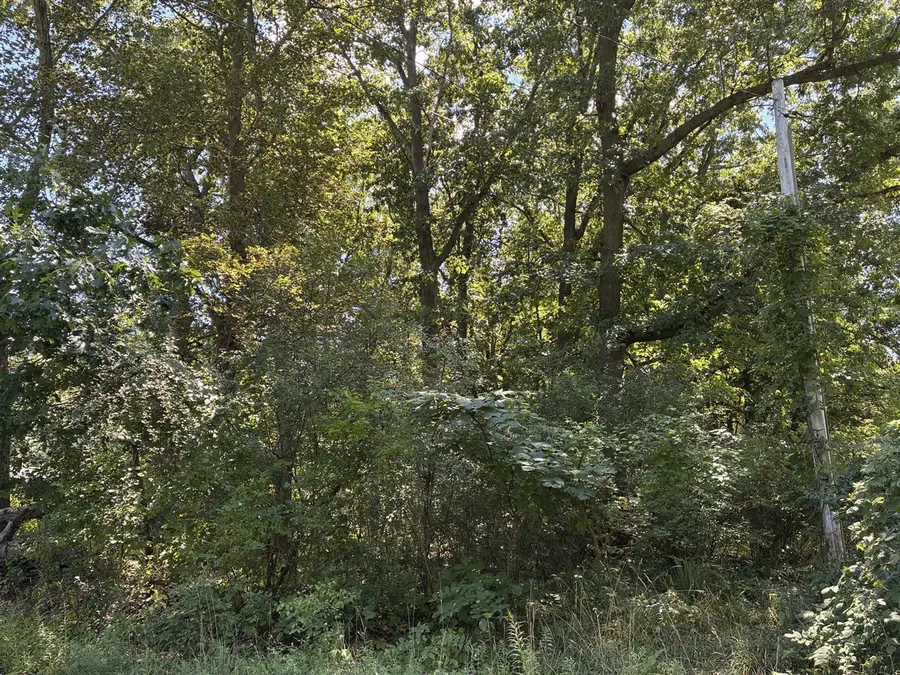 Francis, Kalamazoo, MI 49048 - #3