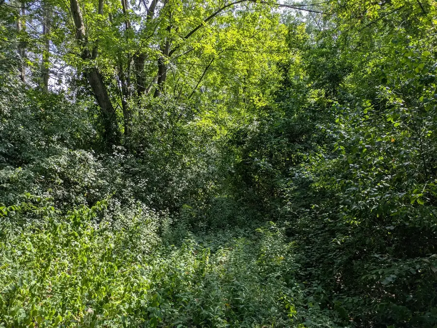 Holland, Taylor, MI 48180 - #2
