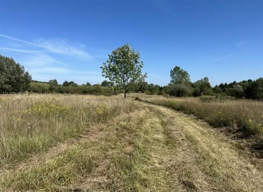 V/L Rolling Hills, Fennville, MI 49408 - #2