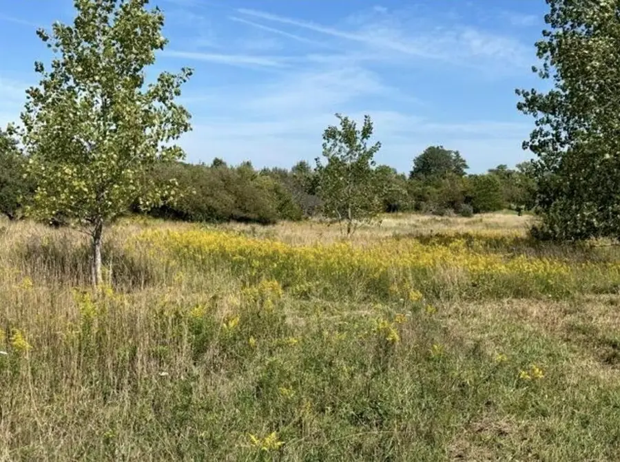 V/L Rolling Hills, Fennville, MI 49408 - #3