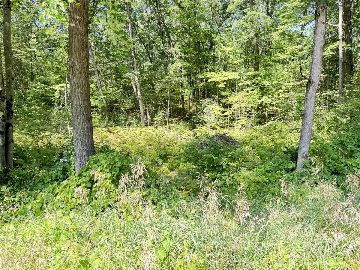 8835 N Bingham, Bitely, MI 49309 - #1