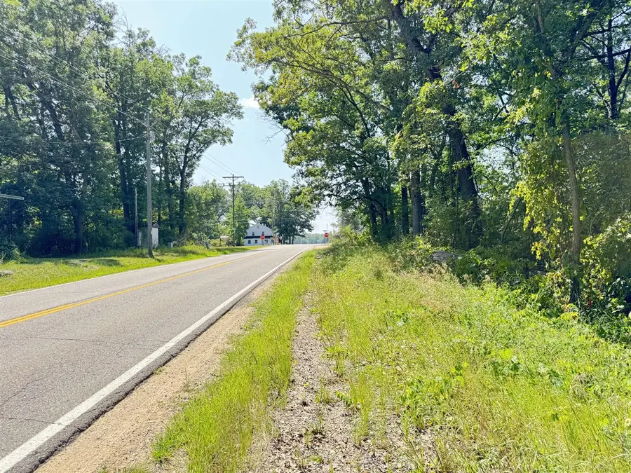 8835 N Bingham, Bitely, MI 49309 - #2