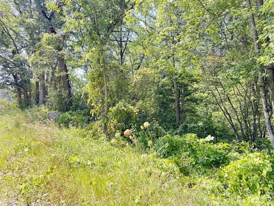 8835 N Bingham, Bitely, MI 49309 - #3