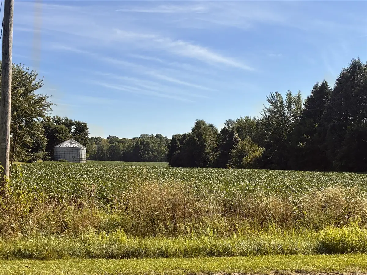 W County Road 365, Lawrence, MI 49064 - #1