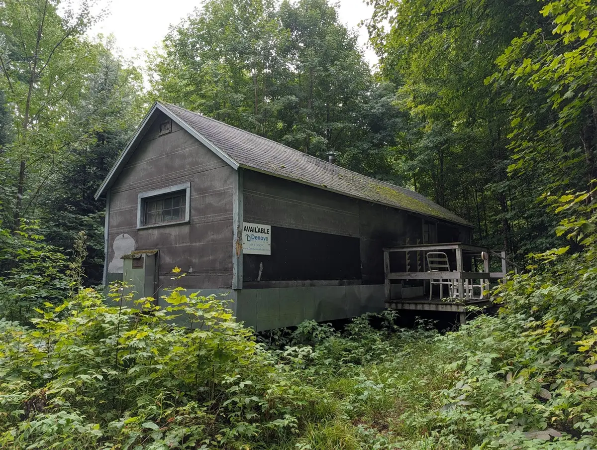 VL Perrin Brothers Trail, Forsyth, MI 49841 - #1