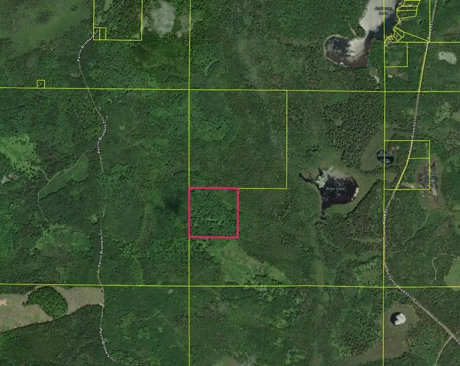 VL Perrin Brothers Trail, Forsyth, MI 49841 - #2