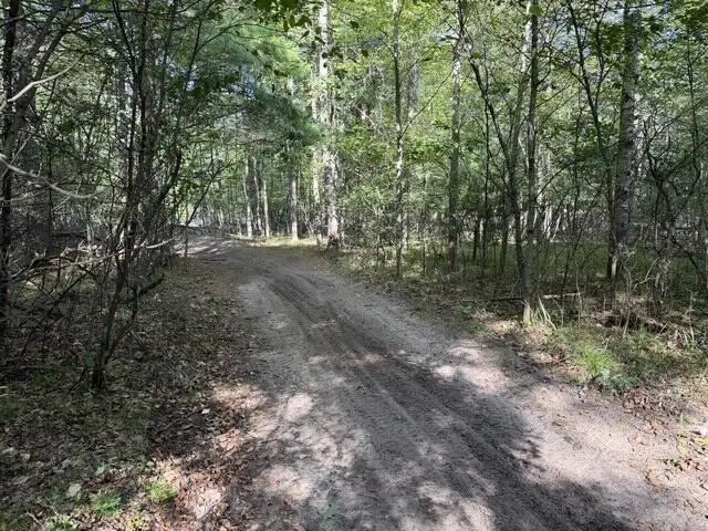 V/L Timber, Prescott, MI 48756 - #1
