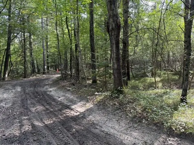 V/L Timber, Prescott, MI 48756 - #3