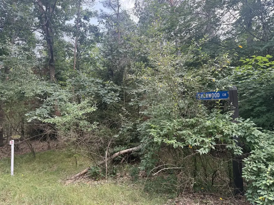 10181 Sherwood, Stanwood, MI 49346 - #2