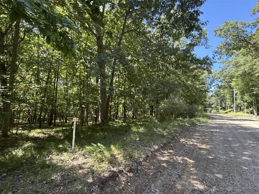 12075 Halifax, Stanwood, MI 49346 - #2
