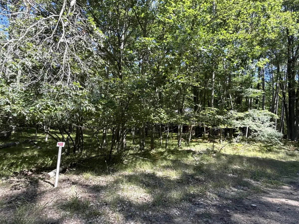 12060 Chinook, Stanwood, MI 49346 - #1