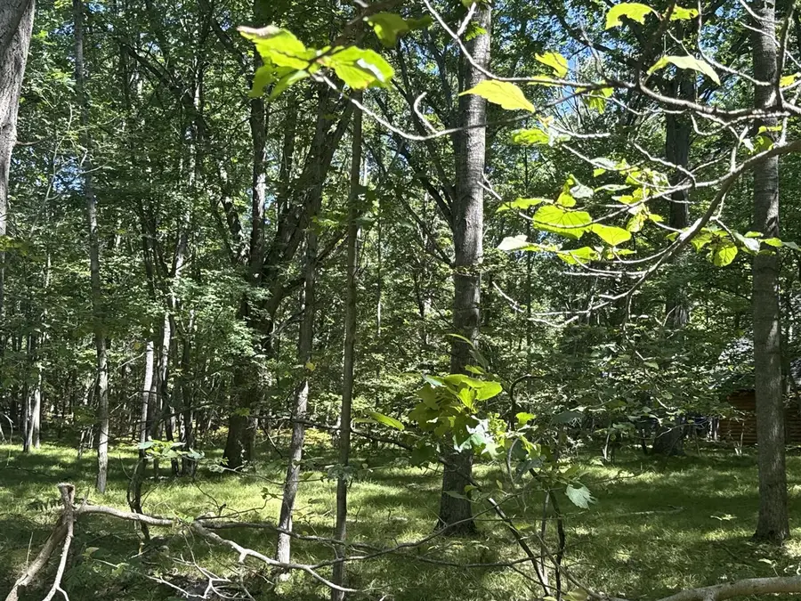 12060 Chinook, Stanwood, MI 49346 - #3