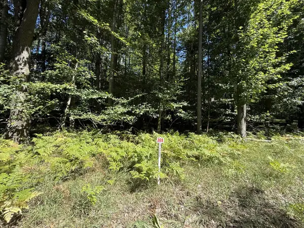 12100 Belle Isle, Stanwood, MI 49346