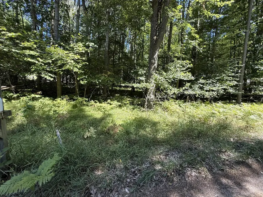 12100 Belle Isle, Stanwood, MI 49346 - #2