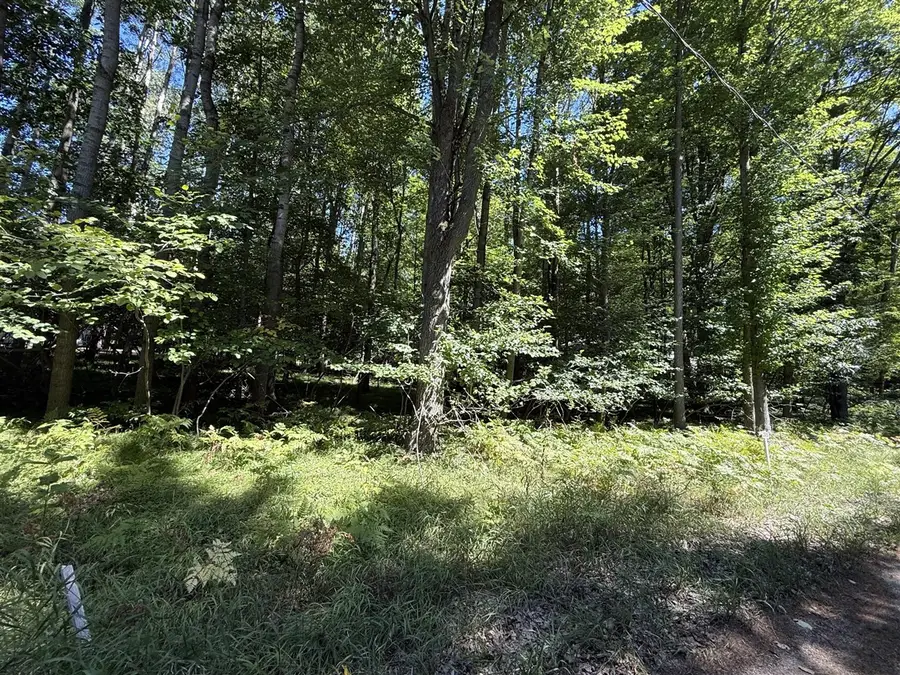12100 Belle Isle, Stanwood, MI 49346 - #3