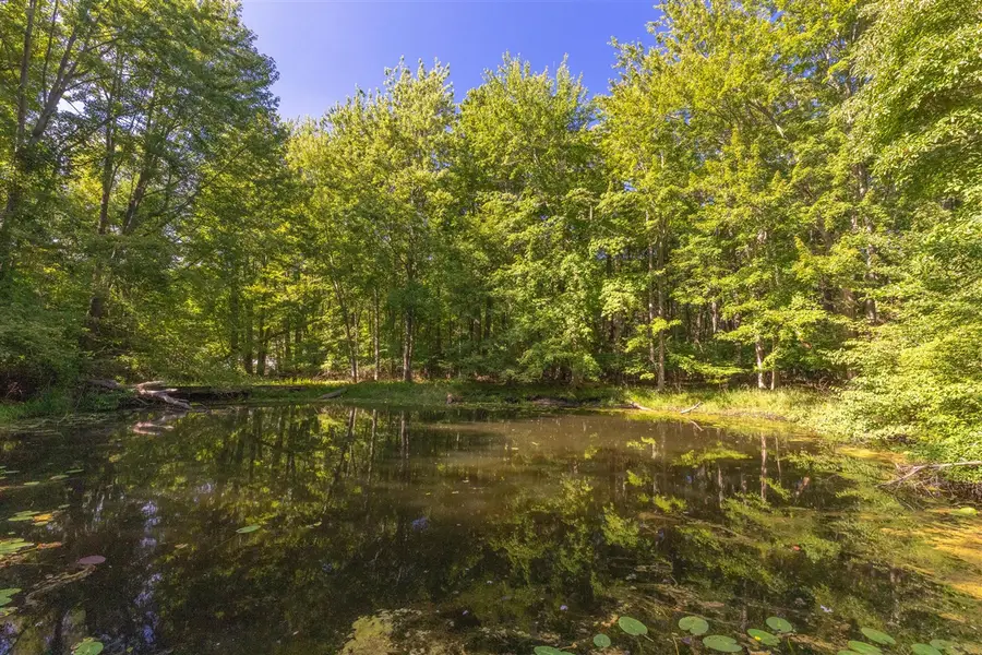 6985 124th, Fennville, MI 49408 - #2