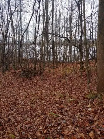 23045 Miramichi, Evart, MI 49631