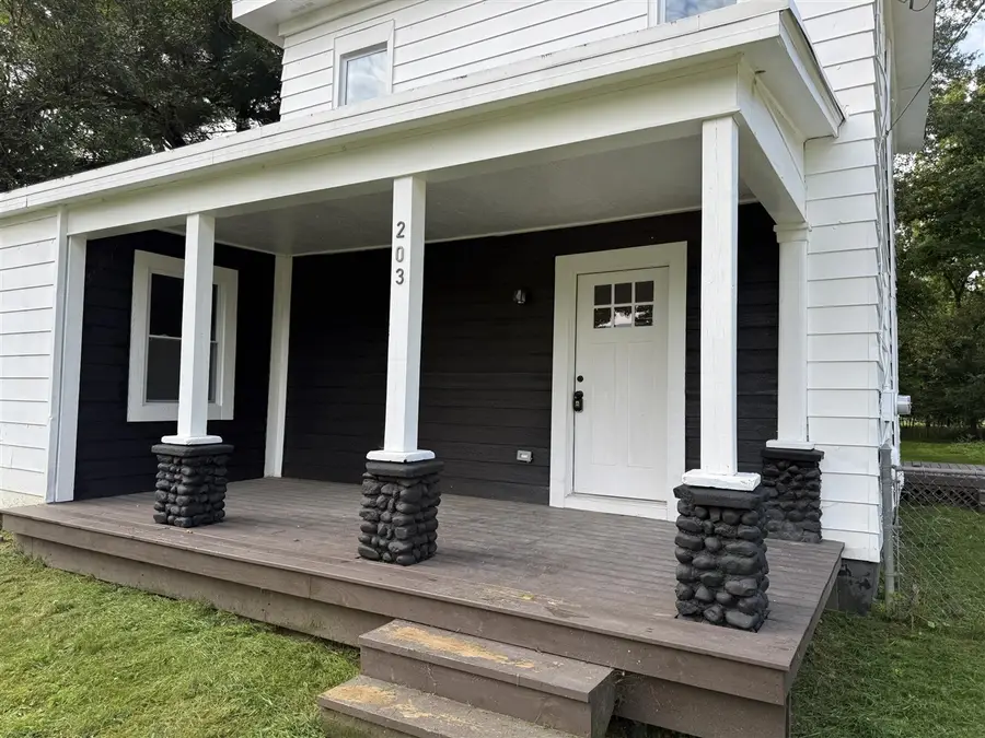 203 E Commercial, Norvell, MI 49263 - #2
