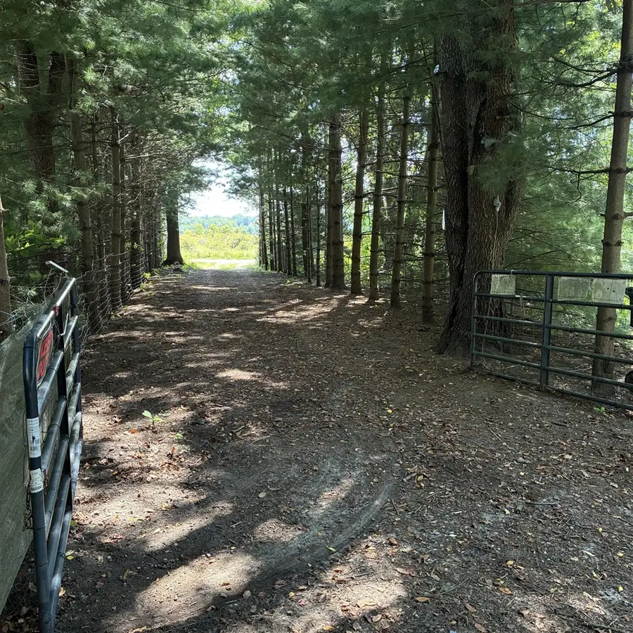 72670 Co Rd 376, Covert, MI 49043 - #3