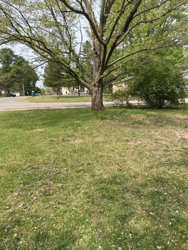316 W Washington, Evart, MI 49631