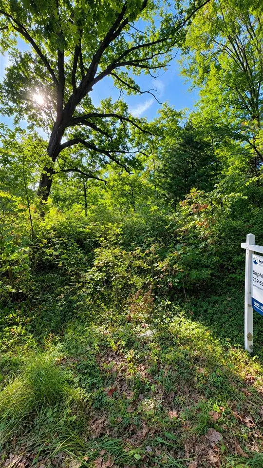 252 51 1/2, Grand Junction, MI 49056