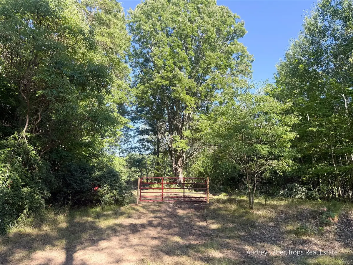 Par 4 Clements, Kaleva, MI 49645 - #1